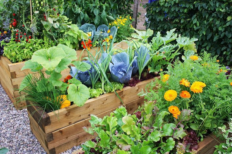 Workshop sur le jardinage urbain