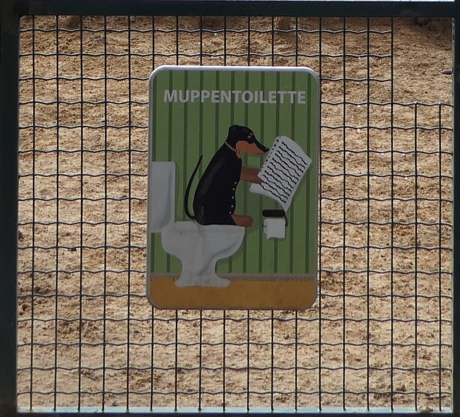 Muppewiss / Parc pour chiens